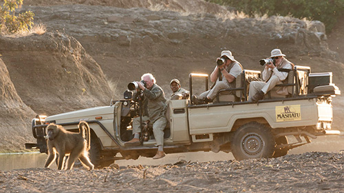 Premier Photo Safaris