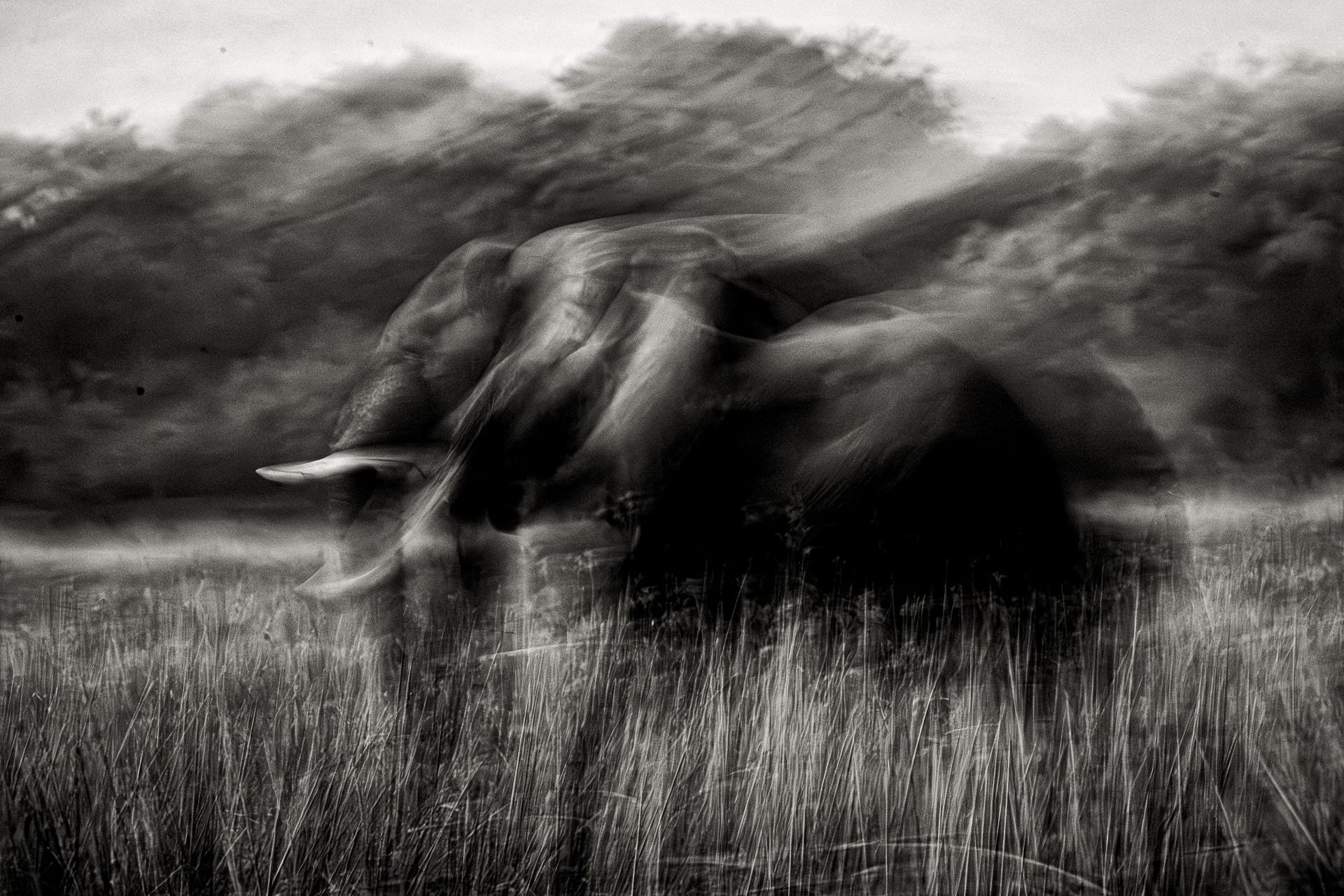 Photographing the Lower Zambezi: Two Habitats That Define the Experience