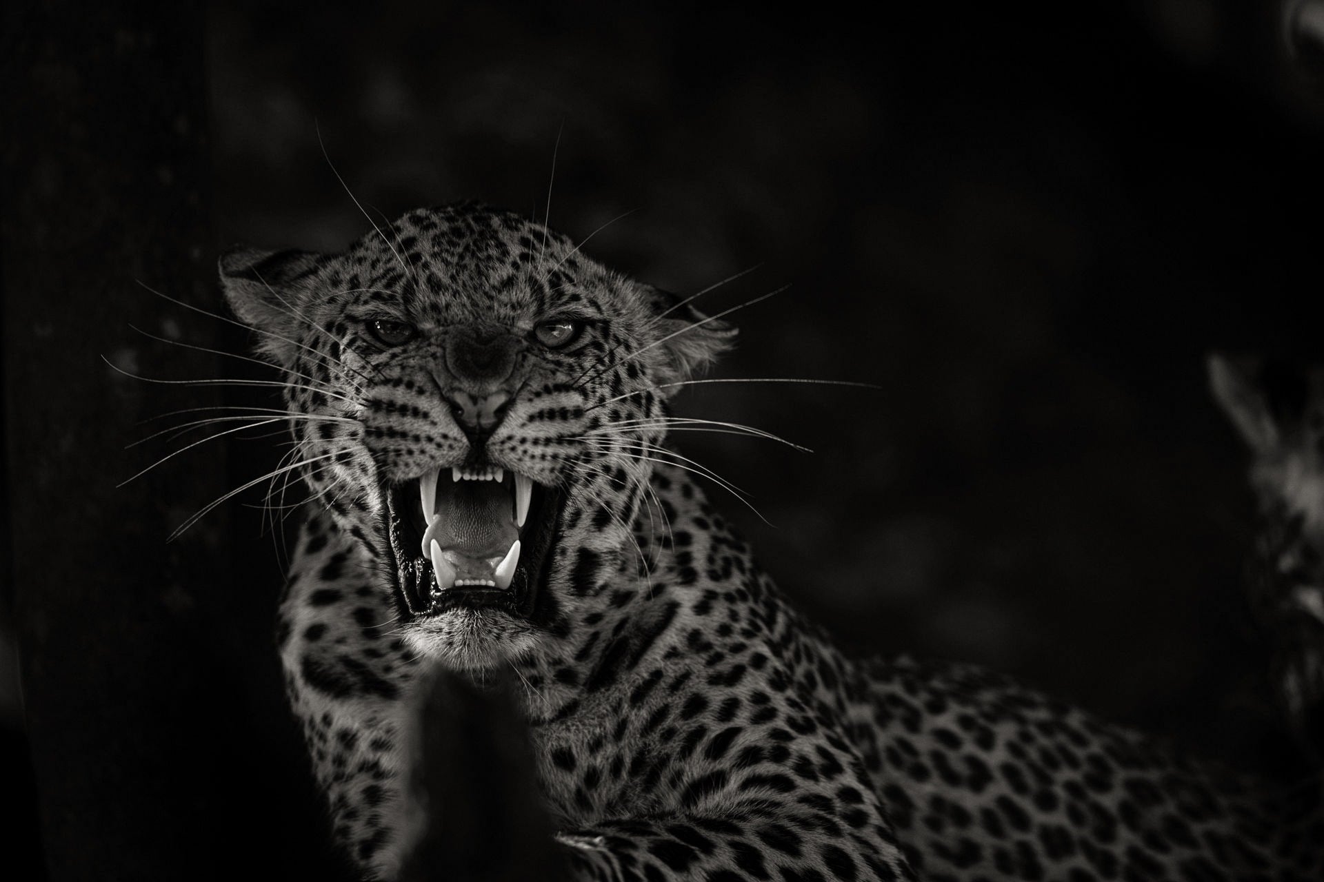 Botswana- You Beauty!!!