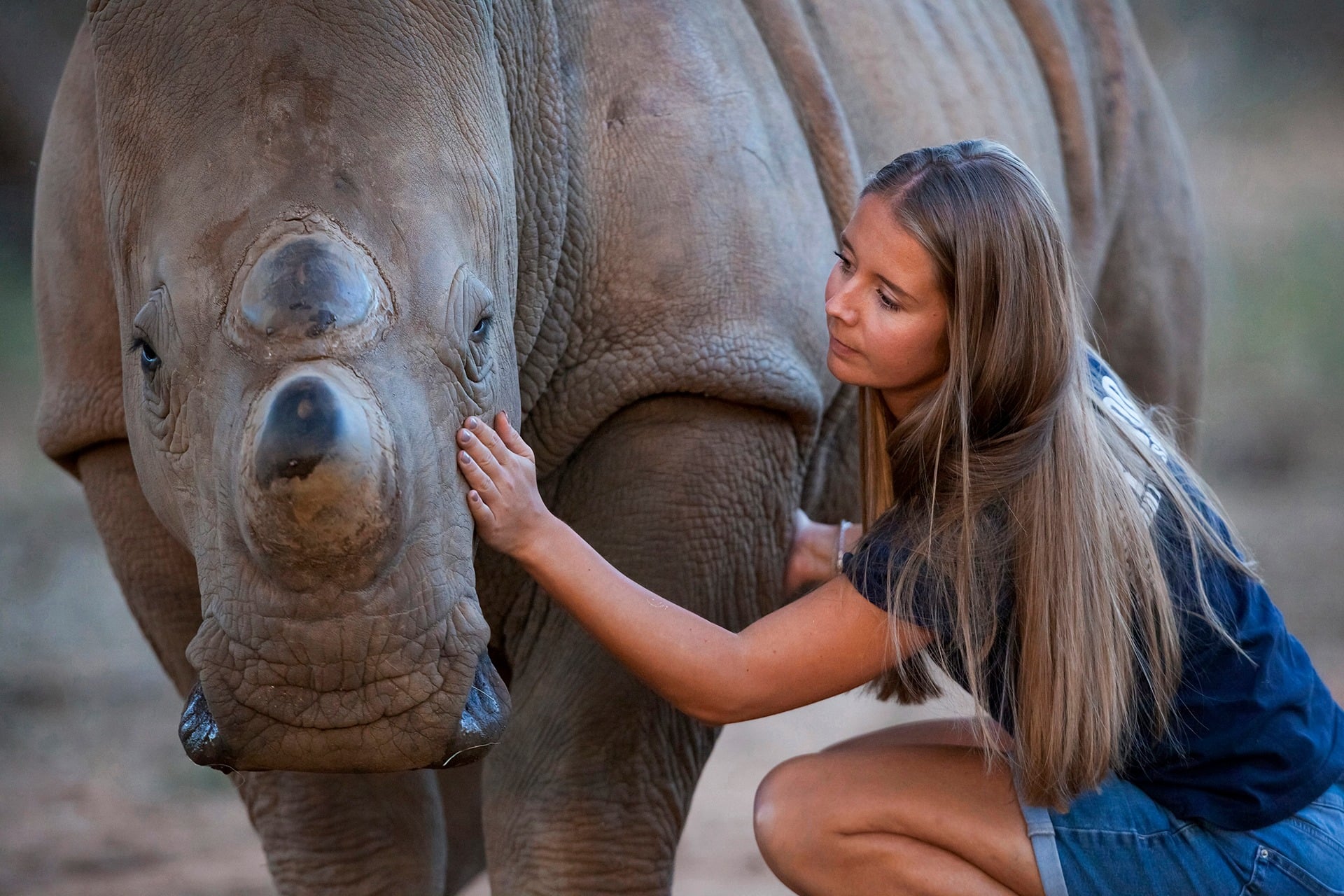 Conservation inspired Safaris