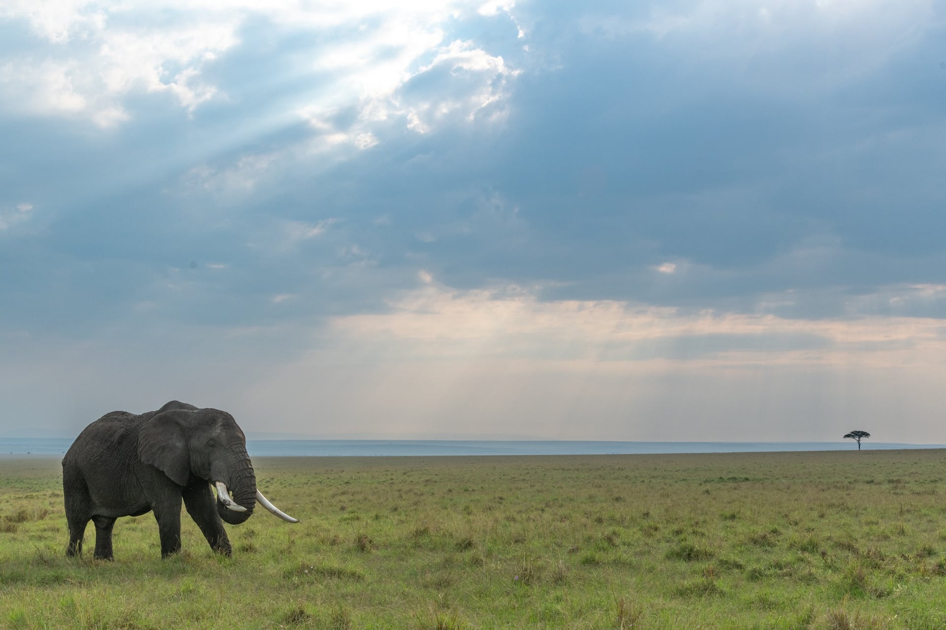 The return of Photo Safaris and travel
