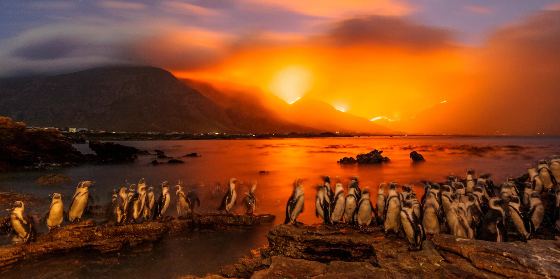 Shutter Speed and Bird Photography: A Practical Guide to Creative Control