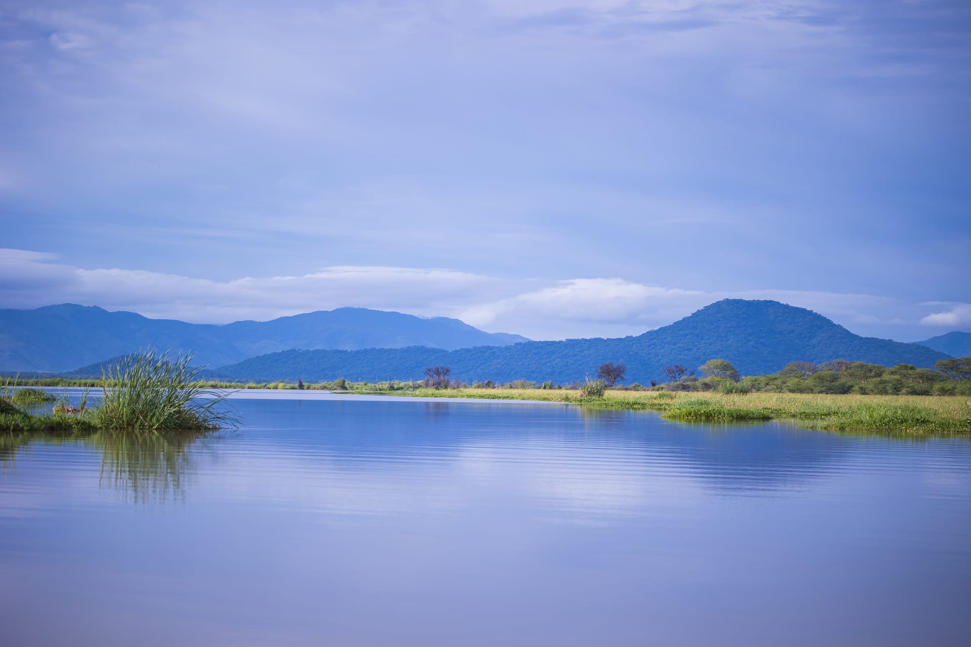 Liwonde National Park: A Conservation Success Story in Malawi