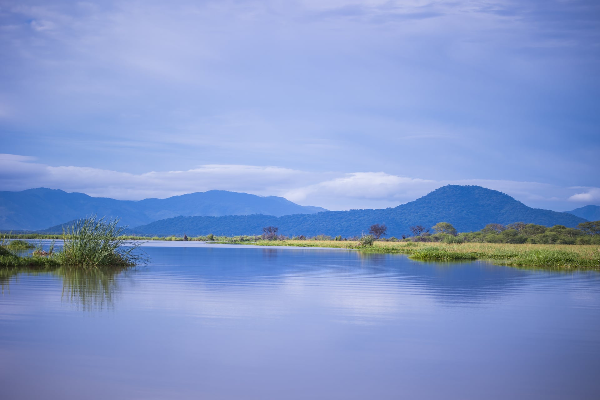 Liwonde National Park: A Conservation Success Story in Malawi