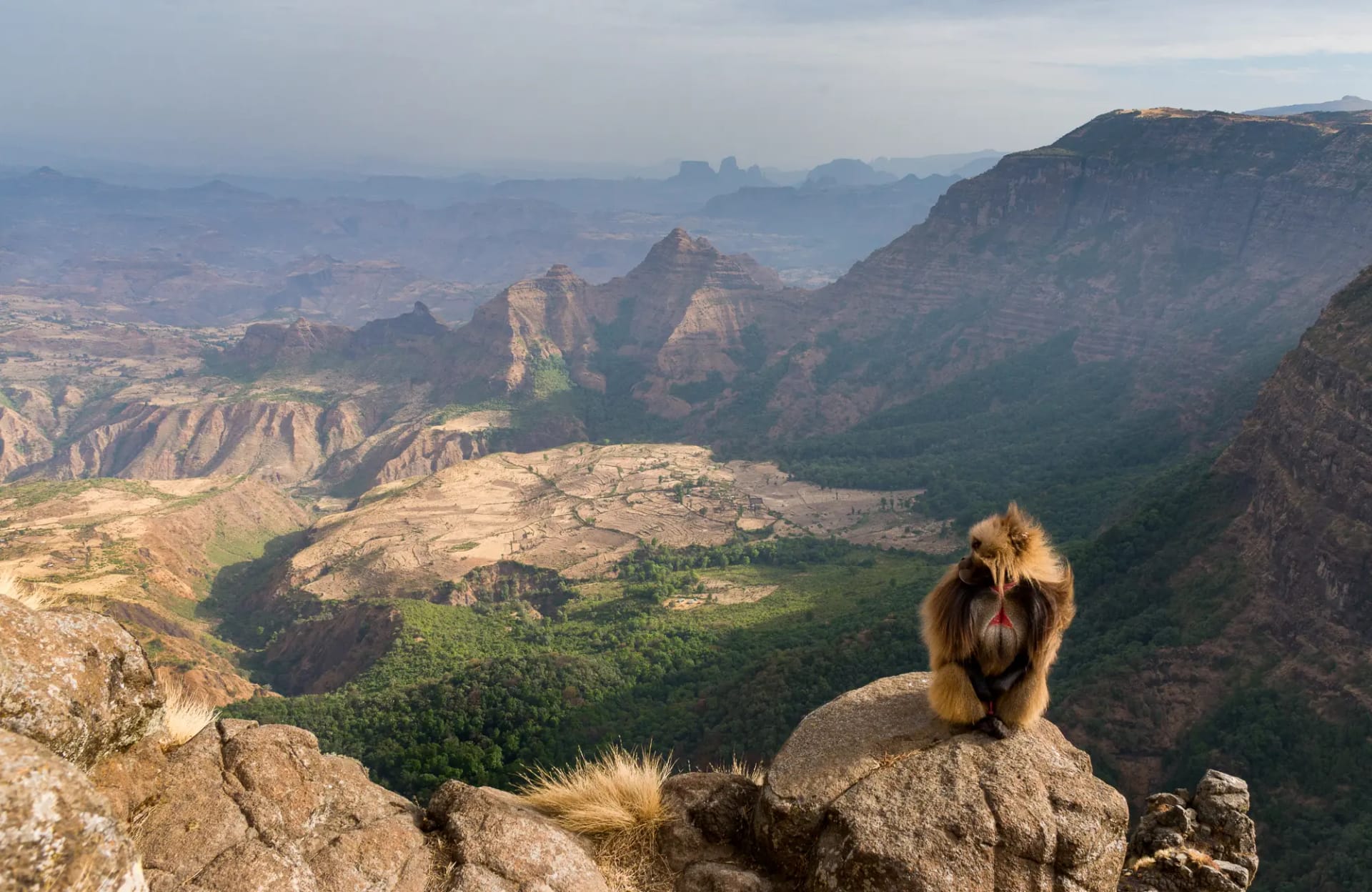 Ethiopia Photo Safaris