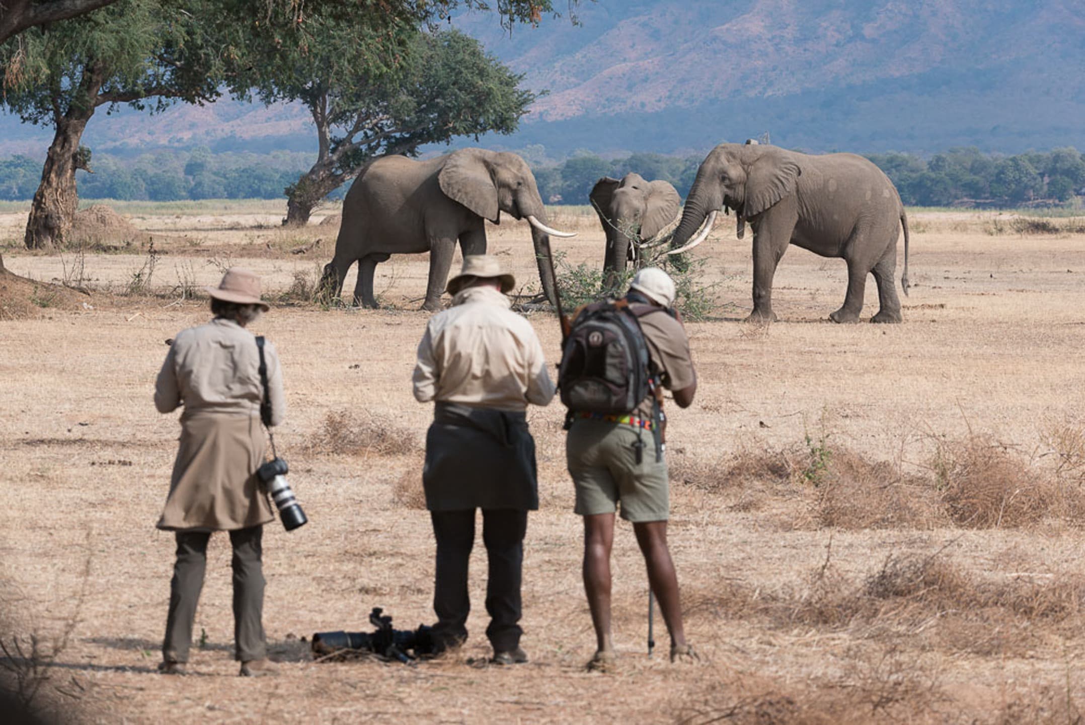 Our C4 Safari Guides