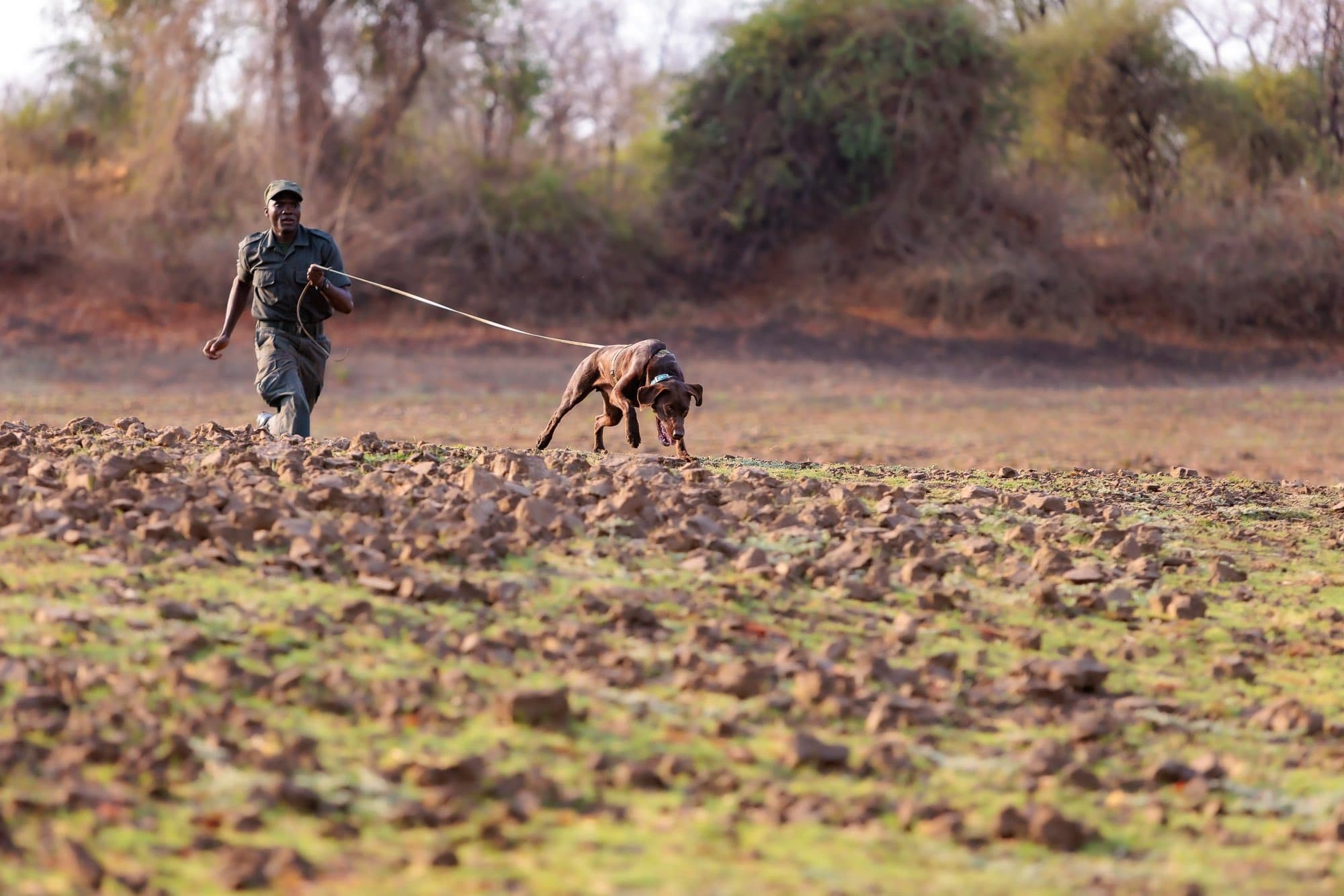Conservation South Luangwa