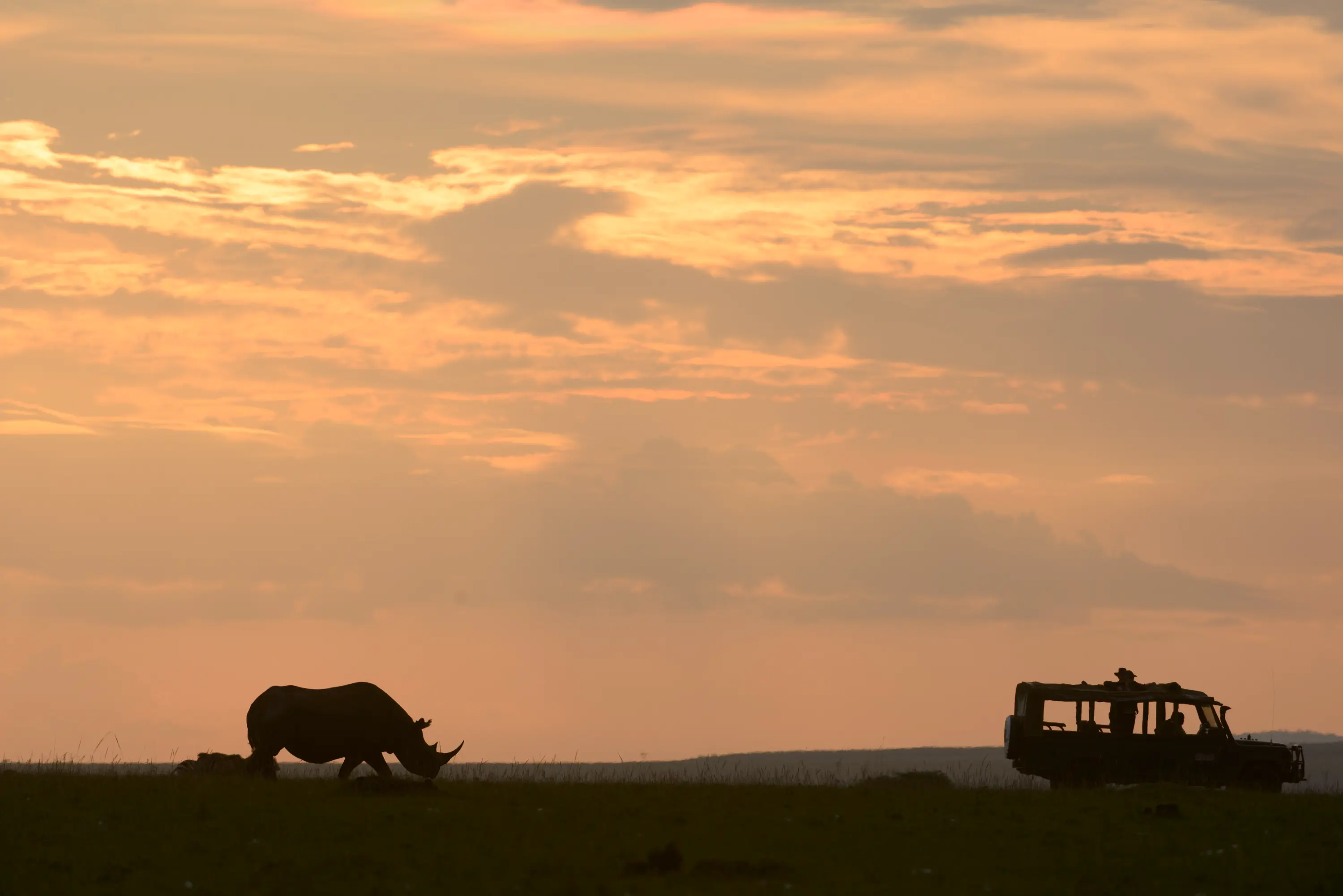 Conservation