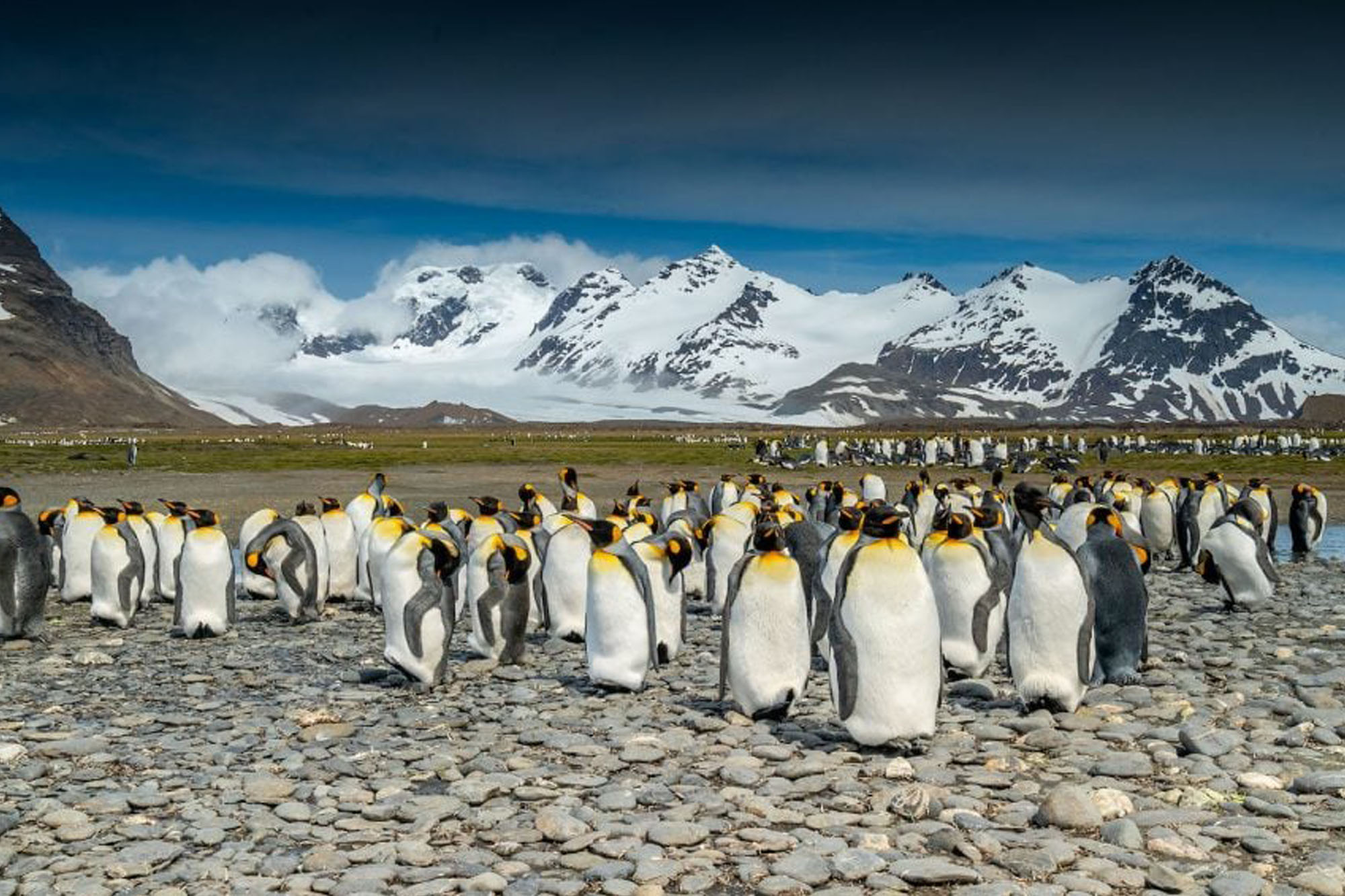 Artic Svalbard Photo Safaris