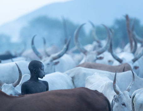South Sudan Photo Safaris