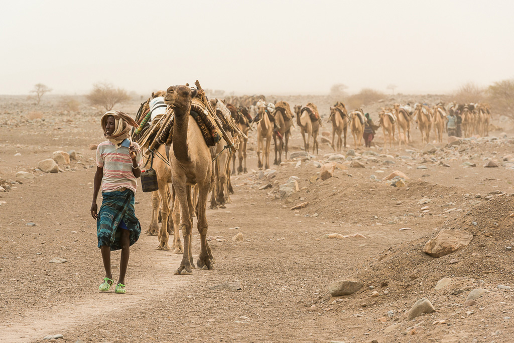 https://www.c4photosafaris.com/uploader/images/11._Danakil_.jpg
