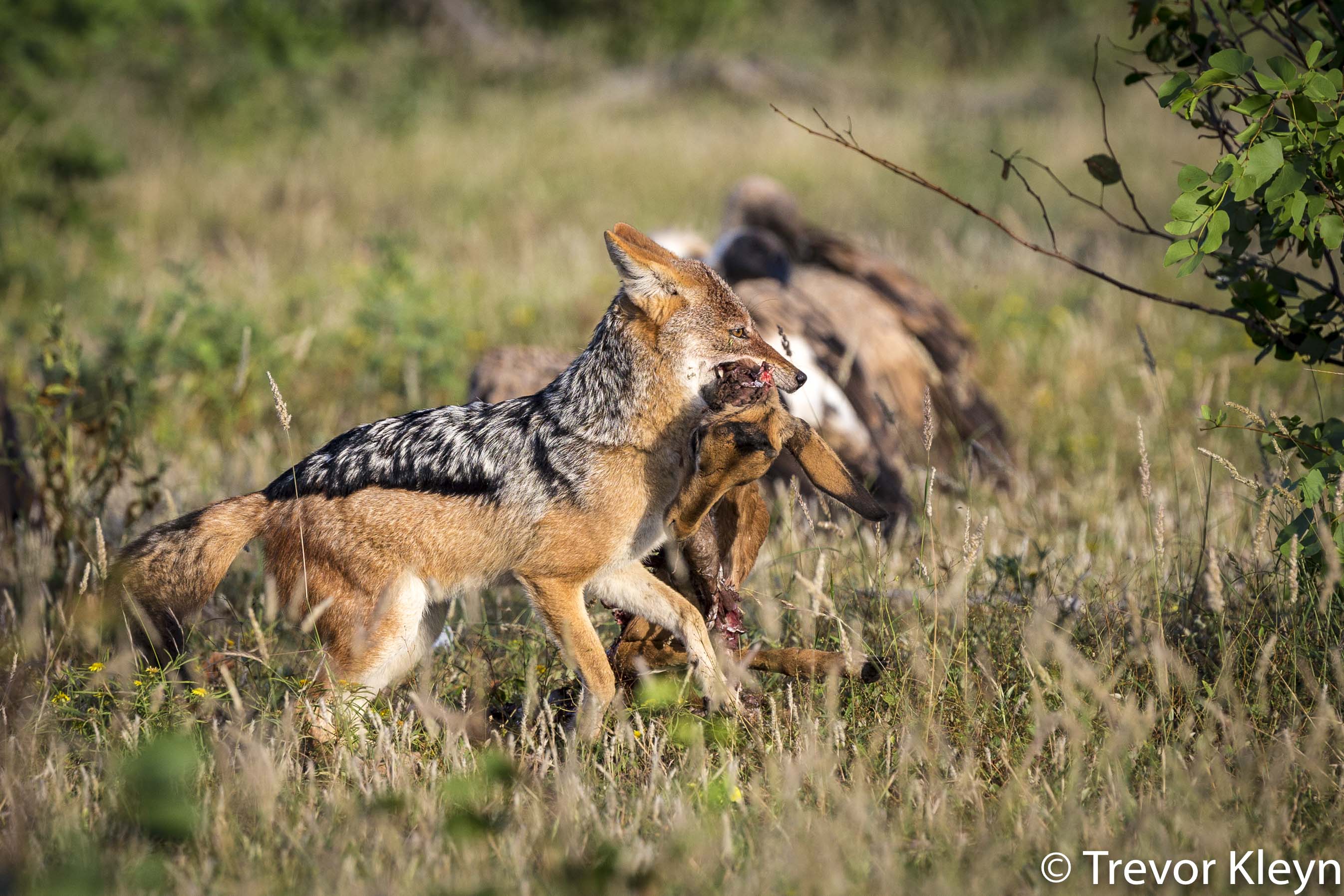 http://www.c4photosafaris.com/uploader/images/2018-03_Workshop-19_copy.jpg