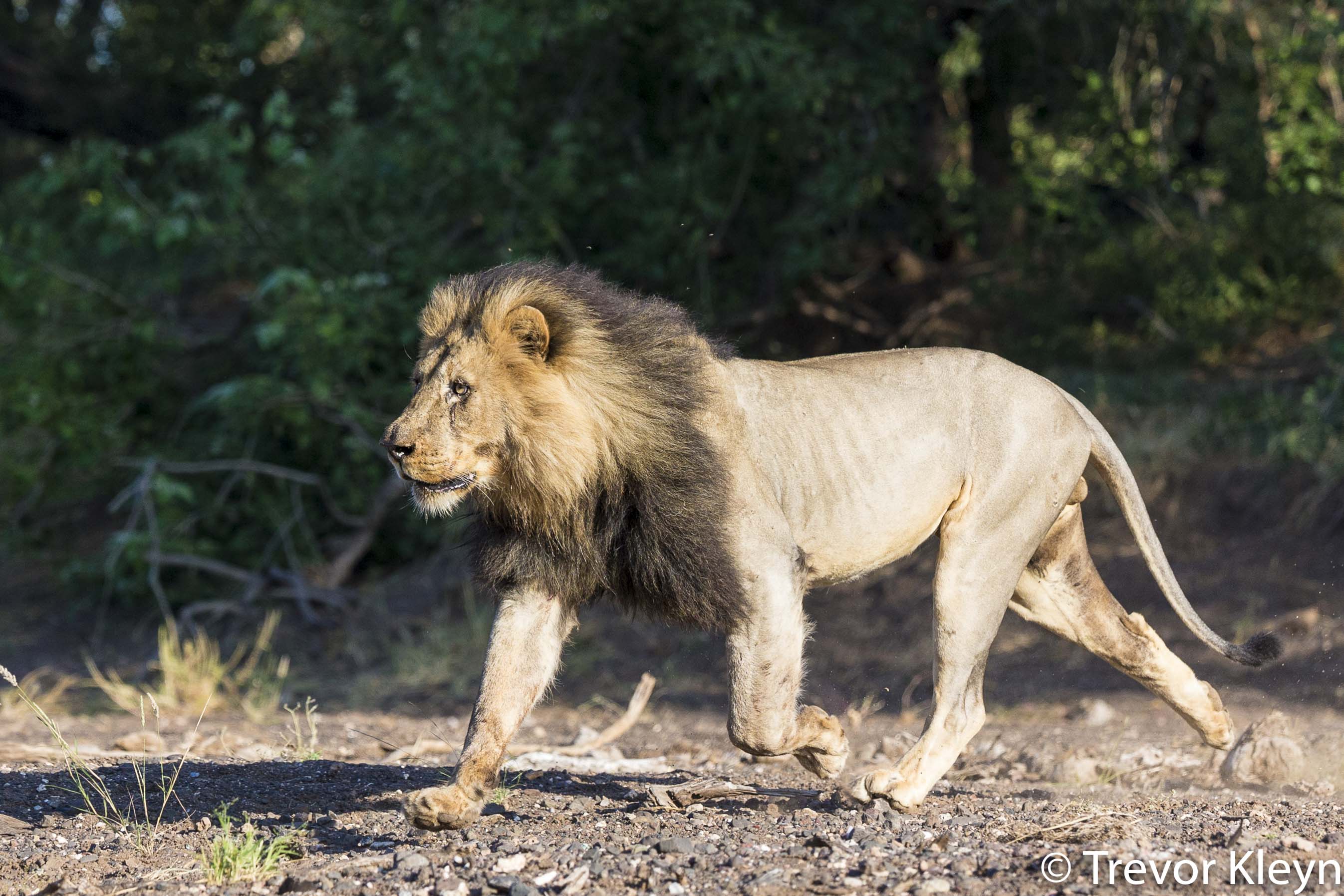 http://www.c4photosafaris.com/uploader/images/2018-04_Workshop-18.jpg