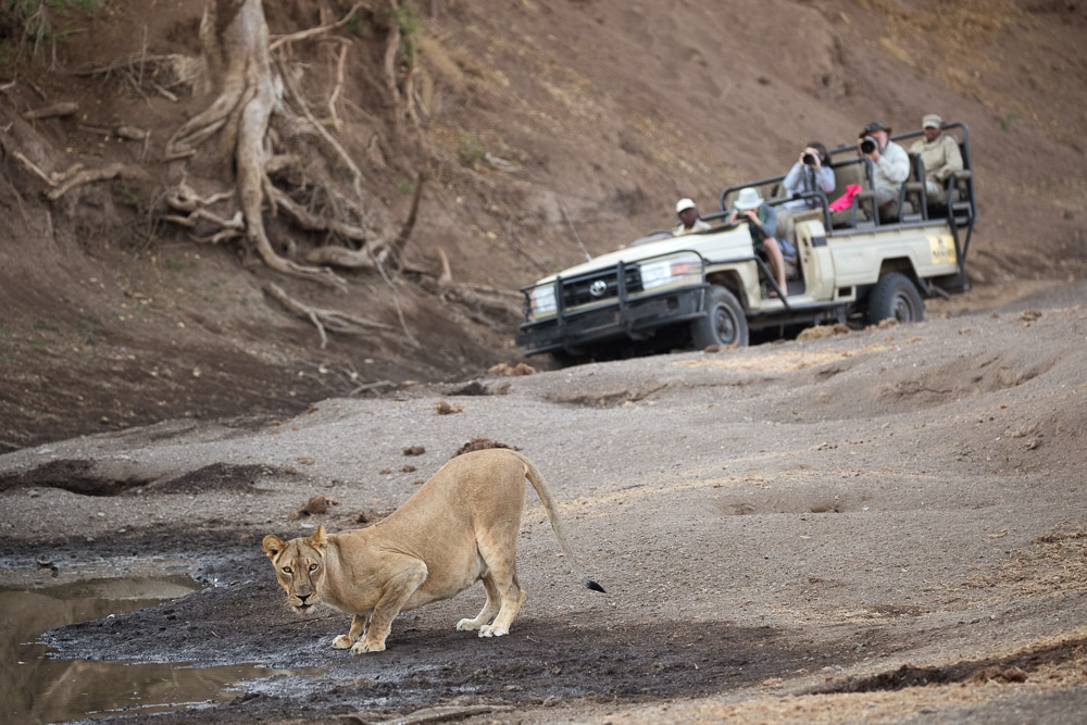 http://www.c4photosafaris.com/uploader/images/A_Mashatu_1.jpg