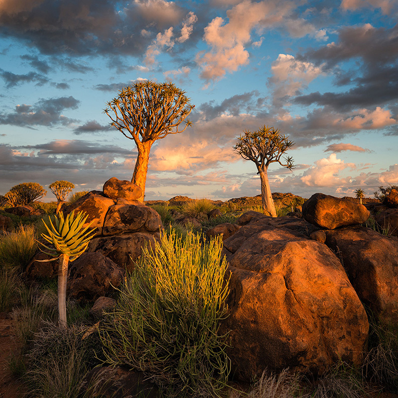 http://www.c4photosafaris.com/uploader/images/A_Namibia_1.jpg