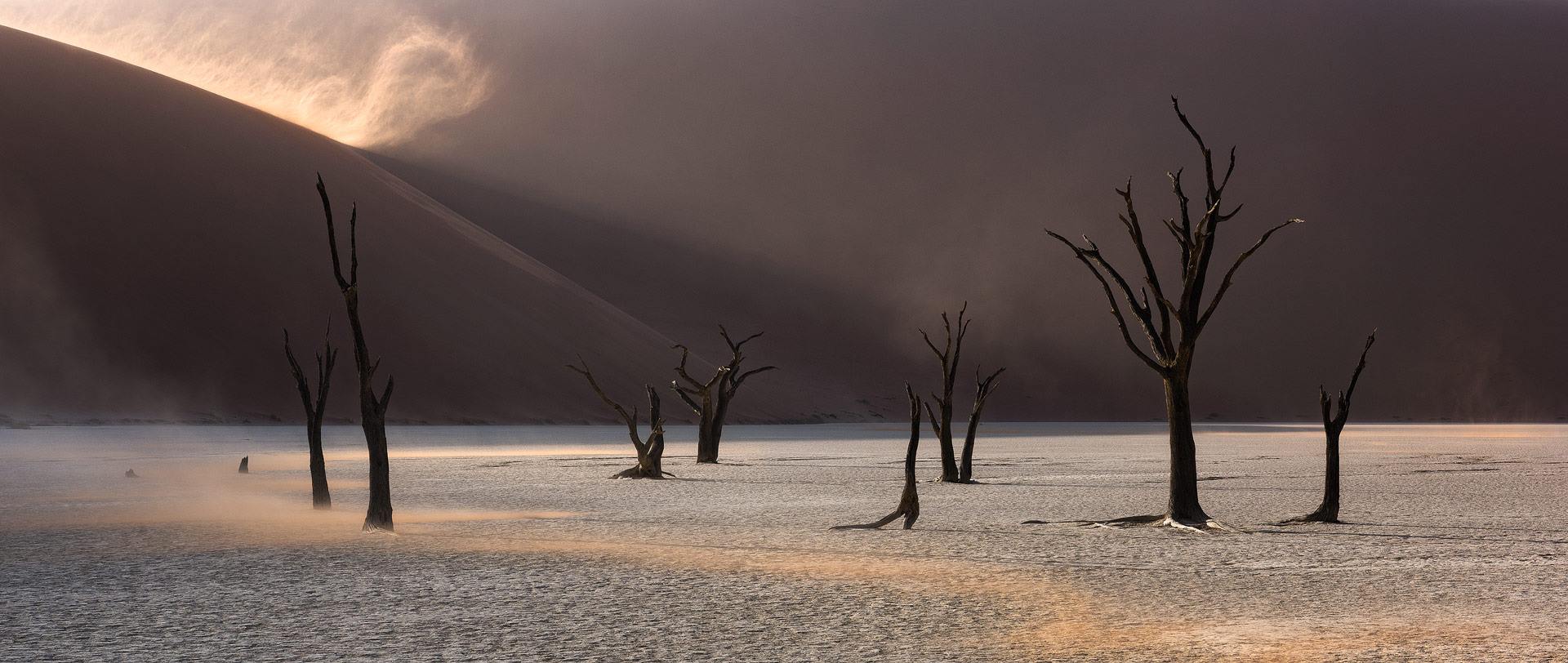 http://www.c4photosafaris.com/uploader/images/A_Namibia_2_.jpg