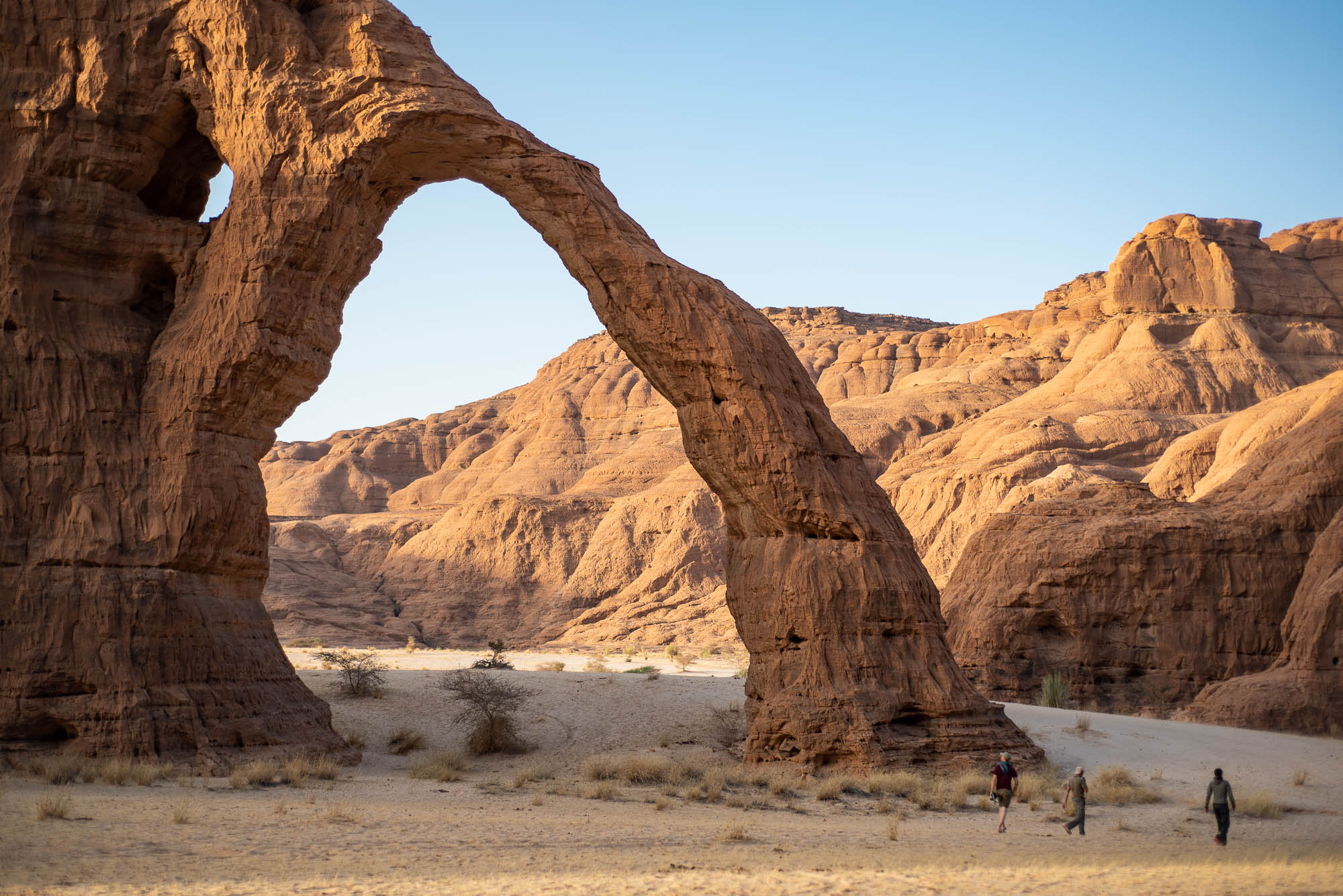 https://www.c4photosafaris.com/uploader/images/ENNEDI_(9).jpg