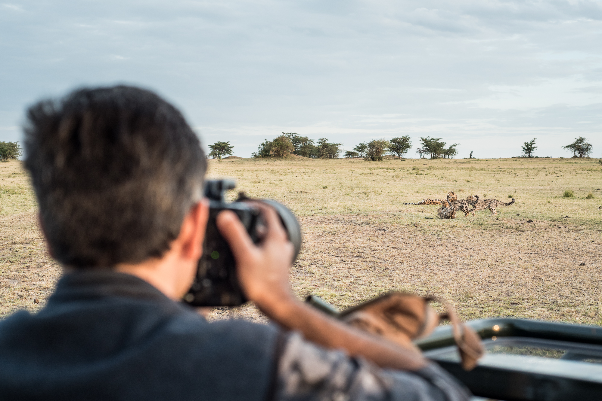 http://www.c4photosafaris.com/uploader/images/Masai_Mara_-_Kyle_de_Nobrega_(1_of_10).jpg