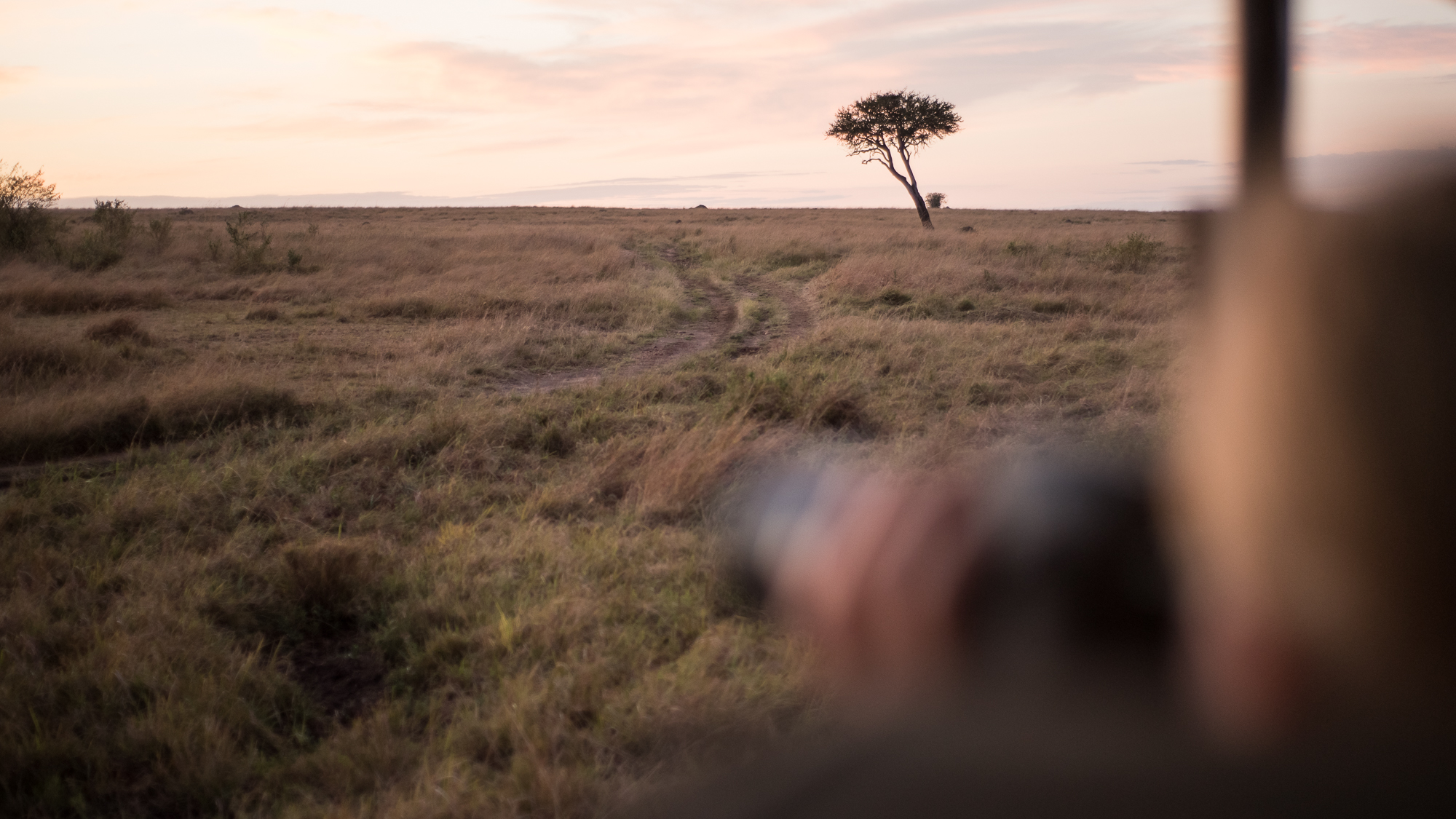 http://www.c4photosafaris.com/uploader/images/Masai_Mara_-_Kyle_de_Nobrega_(2_of_10).jpg