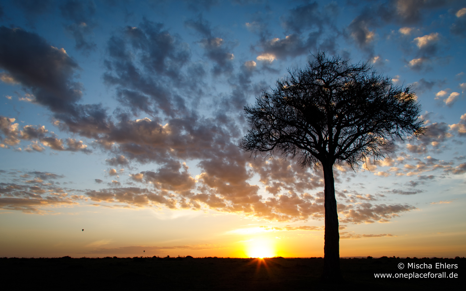 http://www.c4photosafaris.com/uploader/images/Sunrise_Mara.jpg